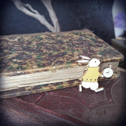 Pin's Alice au Pays des...