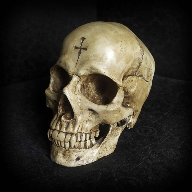 Crâne décoratif, crâne de vampire entièrement décoré main, bibelot